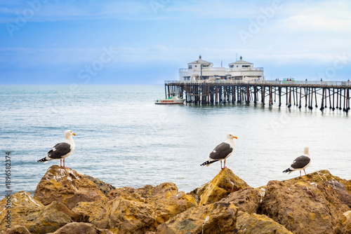 Obraz na płótnie Famous Malibu beach pier on sunny day with seagulls in the front