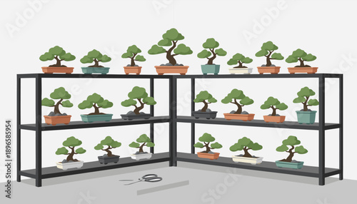 Collection of Bonsai Trees on Shelving Unit.