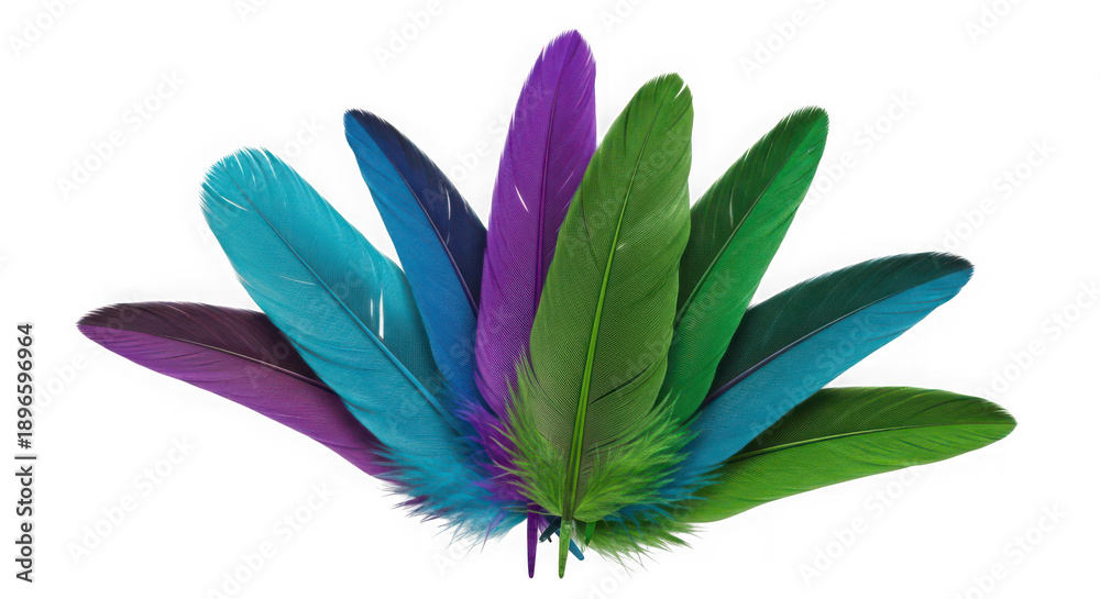 Obraz premium Vibrant feathers in a bouquet isolated on transparent background