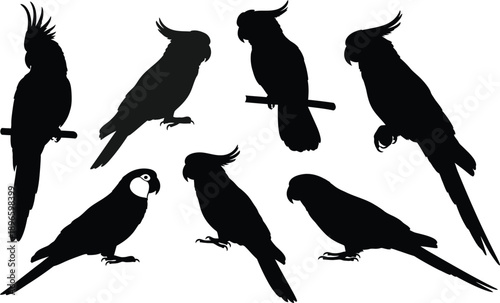 Parrot and Cockatoo Silhouettes Collection