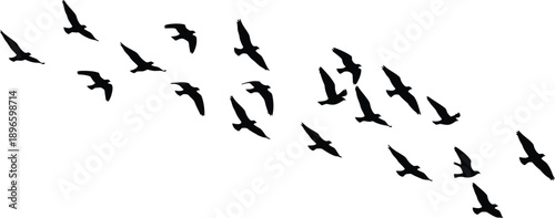 Silhouettes of Birds in Flight Formation