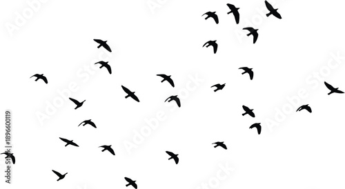 Flock of Birds in Flight Silhouette