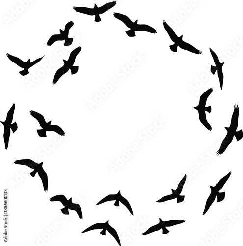 Dynamic Circle of Flying Bird Silhouettes