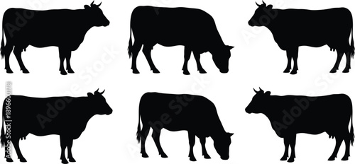  Cow Silhouettes Collection