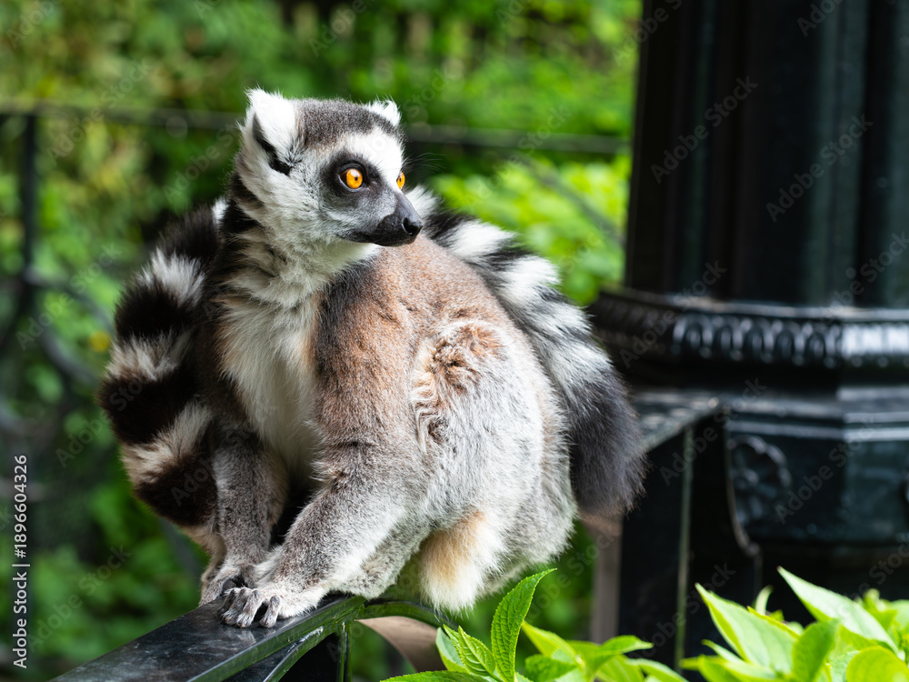 Fototapeta premium OLYMPUS DIGITAL CAMERA