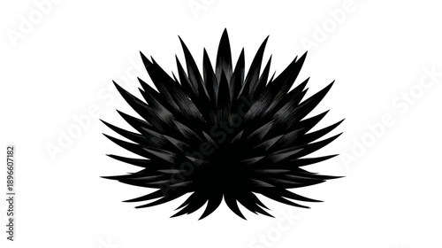 A dark, spiky, textured, round object with sharp, triangular leaves on white background