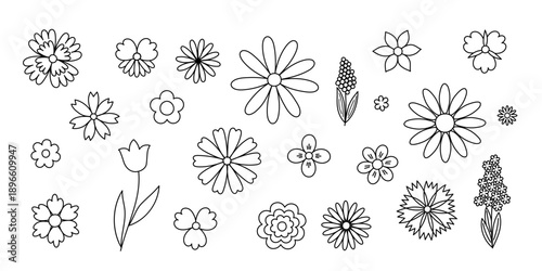 Fancy flowers, leaves set, hand drawn outline vector illustration, symbol of spring, cozy home, spring Easter holidays celebration decor, clipart for cards, banner, springtime decoration