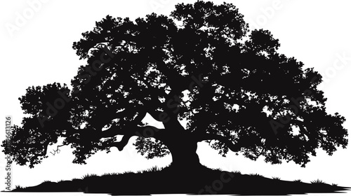 A detailed silhouette of a mature tree with thick branches and foliage against a white background