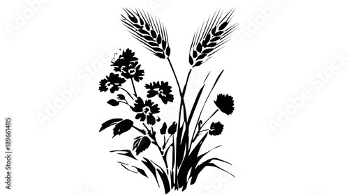 A black and white illustration of various plants. Wheat, flowers, leaves, and other elements are included