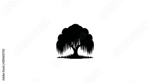 A silhouette of a willow tree in black against a white background. It's on a patch of grass