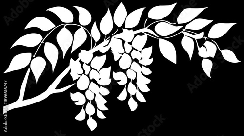 A simple, elegant, monochromatic botanical design with cascading flowers and leaves on branches