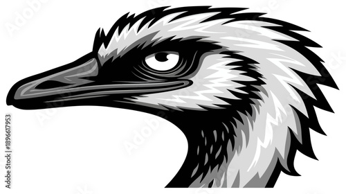 A grayscale illustration of a bird's head in profile, detailed with varying shades