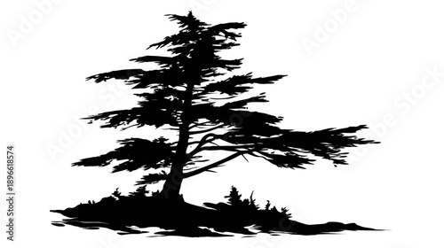 Silhouetted illustration of a coniferous tree, with branches, foliage, and a trunk, set against white