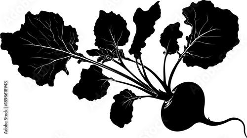 A monochrome illustration of a beet plant with its leaves and root, on a white background