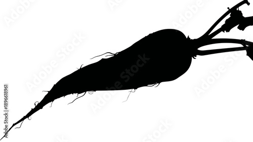 A black silhouette of a root vegetable with leafy stems, against a plain white background