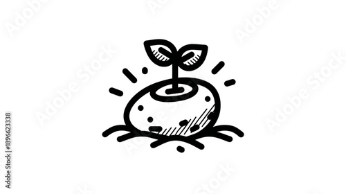 A black and white line drawing of a seed sprouting two leaves from a small seed-like object