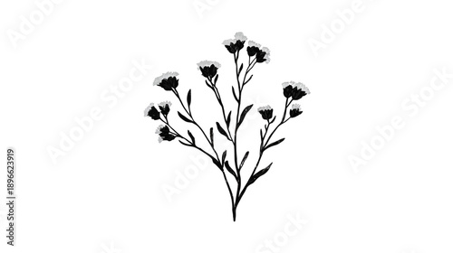 A monochrome illustration of a flowering plant on a white background, minimal and clean