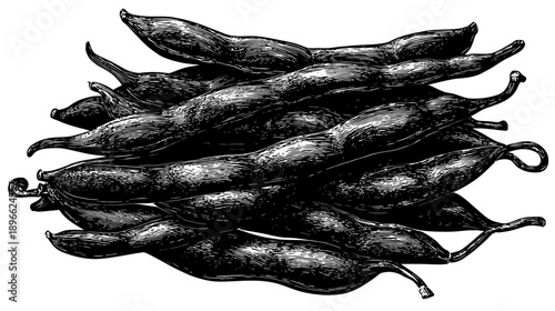 A black and white illustration shows a pile of dark, elongated pods with curved ends