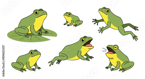 Collection of various illustrated green and yellow frogs displaying different natural poses and actions