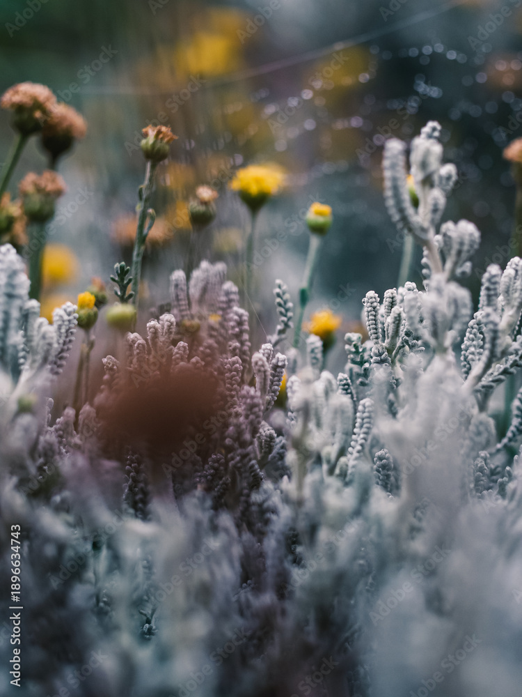 custom made wallpaper toronto digitalPlants in the garden