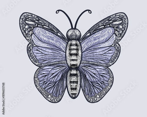 Hand Drawn Butterfly with Decorative Wing Pattern. Elegant Butterfly Engraving Style Illustration. Detailed vintage butterfly illustration with symmetrical wings ornate textures 