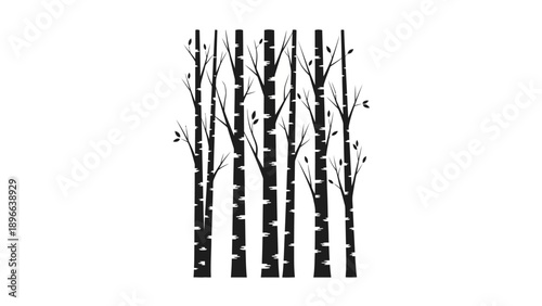 Silhouetted birch tree trunks with sparse leaves on a white background, creating a minimalist and elegant design.