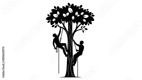 Silhouette illustration of two arborists climbing a tree with ropes, vector graphic.