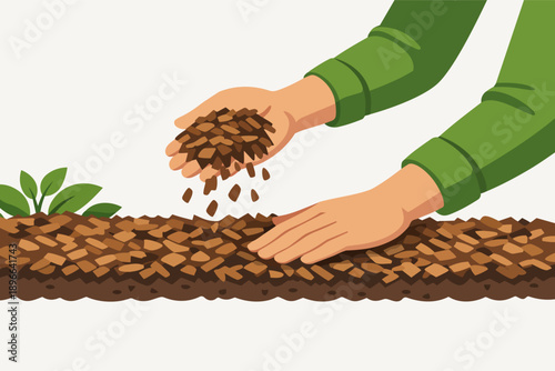 Gardener hands mulching new plant, adding wood chips to soil for growth