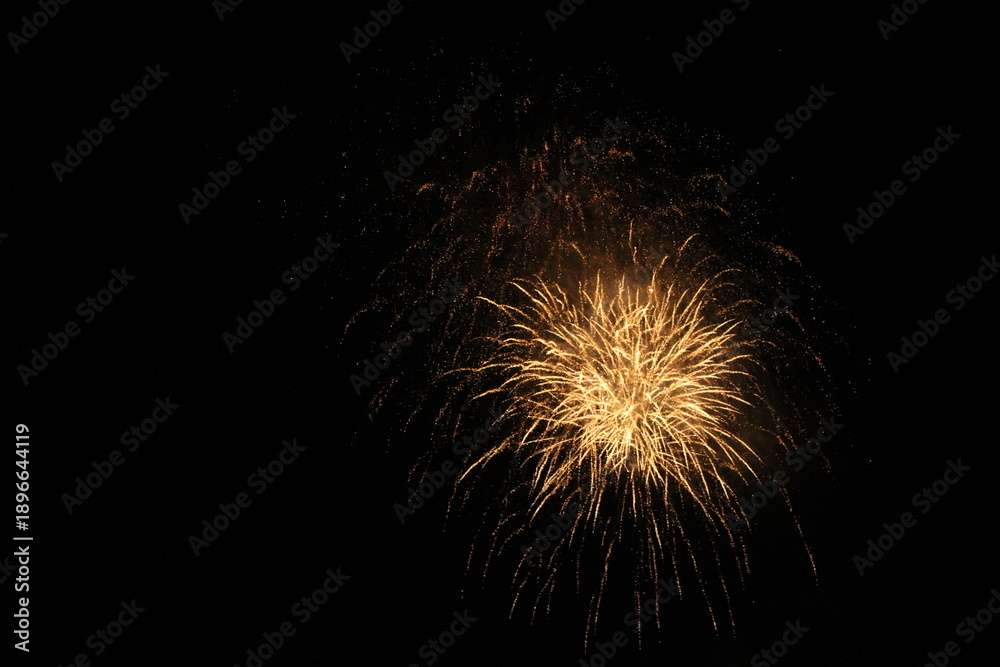 Fototapeta premium sparkling firework in the night