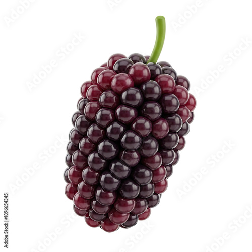 Ripe Mulberry Fruit with Green Stem Against Blurred Purple Background Macro Photography