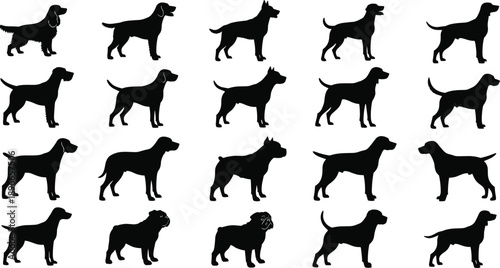 Dog silhouettes collection, various dog breeds standing profiles, domestic pet animals set, black vector illustration for veterinary, pet care, and design projects