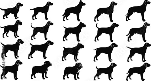 Dog silhouettes vector set, different dog breeds standing side view collection, black animal shapes illustration isolated on white background for design use