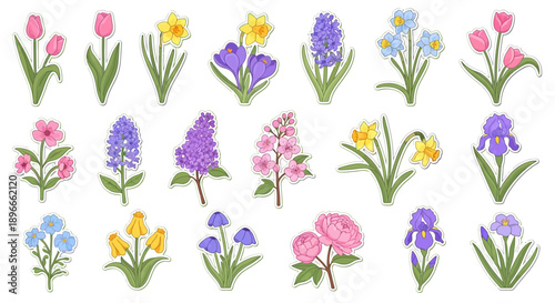 Vibrant floral arrangements of tulips, hyacinths, and daffodils in a garden setting viewed from above