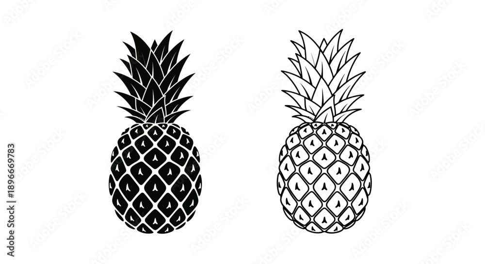Fototapeta premium Black white pineapple illustration tropical fruit Vector