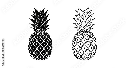 Black white pineapple illustration tropical fruit Vector