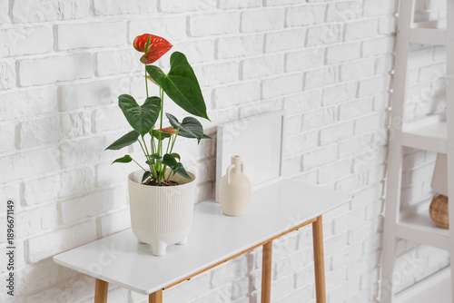 Beautiful Anthurium flower ...
