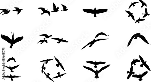 Silhouettes of flying birds in dynamic formations, showcasing various wing positions, aerial motion, and flock behavior for nature, wildlife, and design illustration themes.