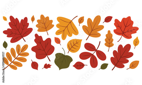 Autumn leaves in vibrant colors shown as vector graphics perfect for seasonal decoration nature illustration fall themed backgrounds and designs