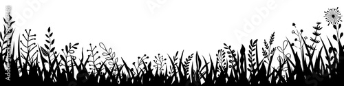 Drawn wild grass isolated on white background, vector design