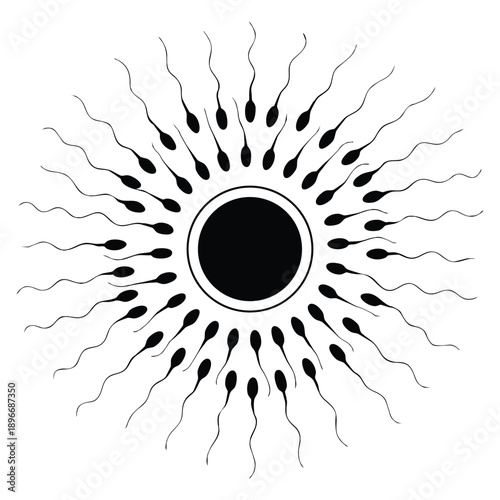 Biology fertilization concept showing sperm moving towards egg cell reproduction themed vector illustration for educational and scientific design