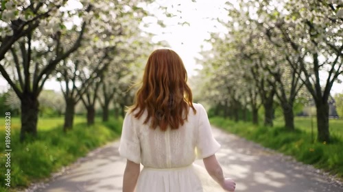 Redhead woman walks down a lane of flowering trees, back view, wearing a white dress on a bright day