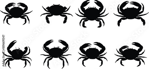 Crab silhouettes collection showing different sea crab poses, black marine animal icons isolated on white background