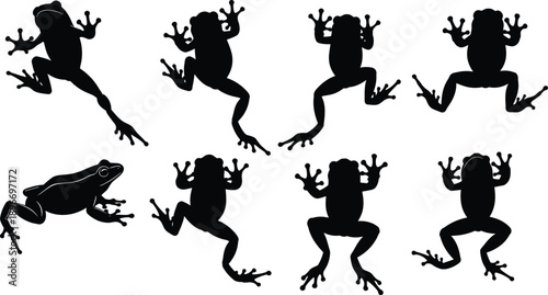 Frog silhouette collection in different poses, jumping and sitting amphibian shapes isolated on white background, wildlife animal vector illustration set