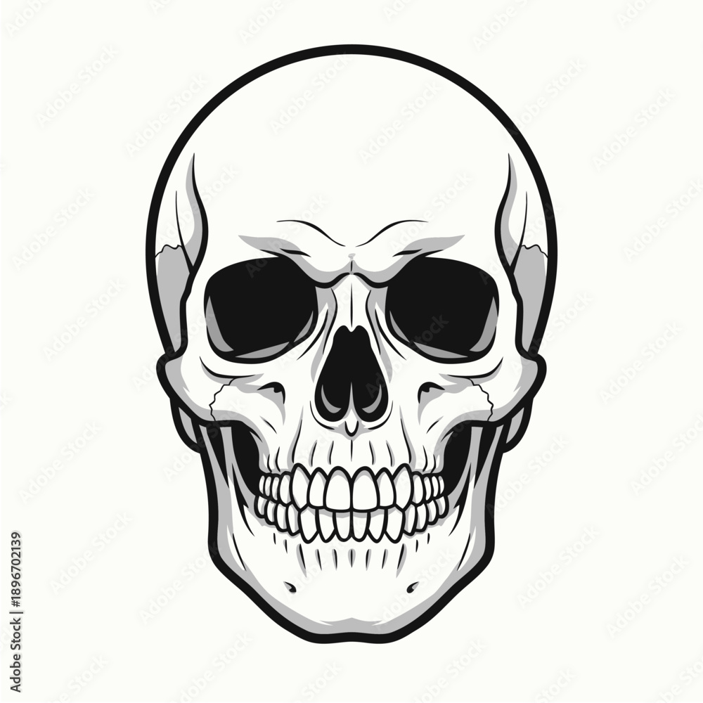 Obraz premium Striking black and white illustration of a human skull, rendered with meticulous anatomical detail and a bold, artistic design