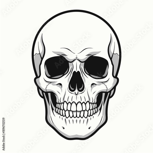 Striking black and white illustration of a human skull, rendered with meticulous anatomical detail and a bold, artistic design