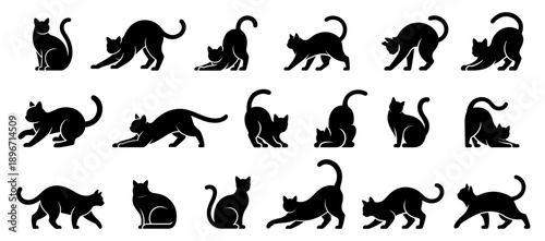 Various types of cat silhouette collection, cats displaying varied expressions, cats in various poses, black cat silhouette vector illustration style.