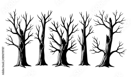 Hand Drawn Dead Tree Silhouettes Dying Old Scary Forest Trees Vector Illustration