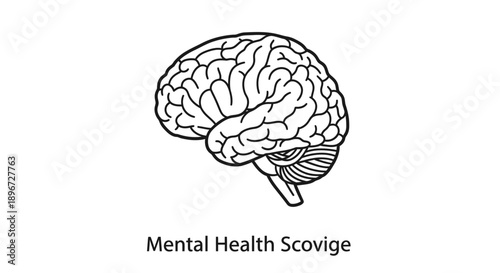 Detailed black outline of a human brain, representing intelligence, thought, and mental health, on an isolated white background.