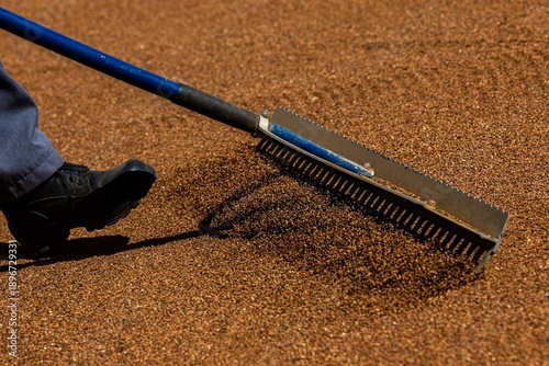 Detail of a rake being used by a worker while preparing the field at Pan American Stadium , ahead the 2026 Serie Del Caribe on January 31, 2026 in Guadalajara, Mexico