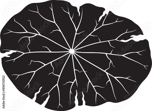 Black Leaf with White Veins Isolated on White Background